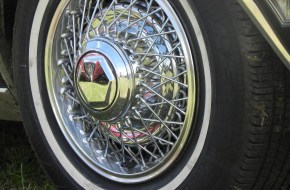 DSCN0495