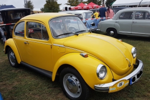 VW 1303