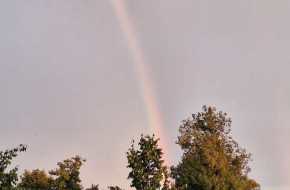 IMG-20250825-WA0037