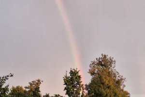 IMG-20250825-WA0037