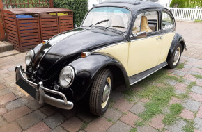 VW-Kaefer